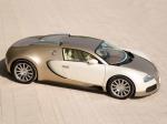 Bugatti Veyron 16.4 Gold Edition 2009 года